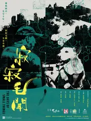 寂寂毛聞