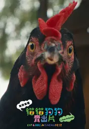 走佬雞