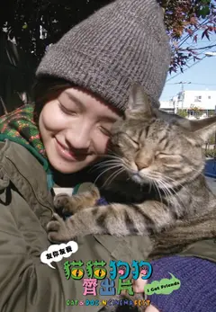 跟蹤貓貓又如何 (Cat & Dog)