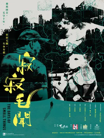 寂寂毛聞