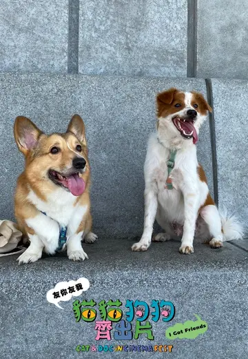 本地狗狗短片 2026 (Cat & Dog)