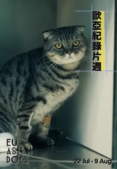 萬物啟示錄