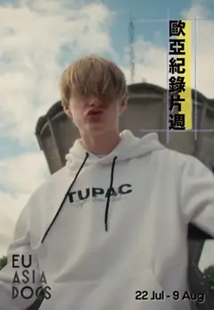 愛爾蘭嘻哈少年團